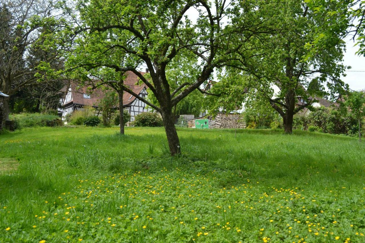 Ferienidyll Cleebourg Villa ภายนอก รูปภาพ